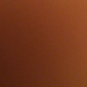 Meet your Posher, Antoine